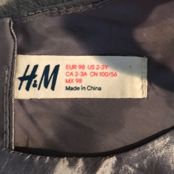 H&M Tulle and Roses Dress - Picture 5 of 6